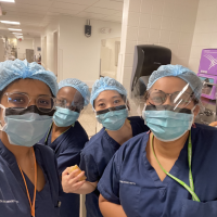 Renae K. Shibata, MD